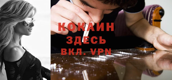 мет Бородино