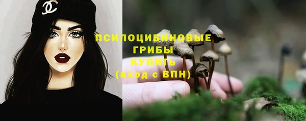 PSILOCYBIN Володарск